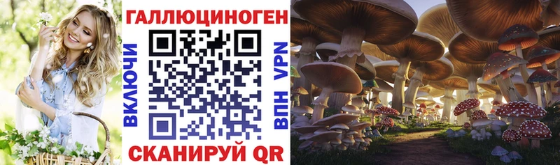 Галлюциногенные грибы ЛСД  где можно купить наркотик  Краснознаменск 